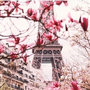 Meet your Posher, Cecile